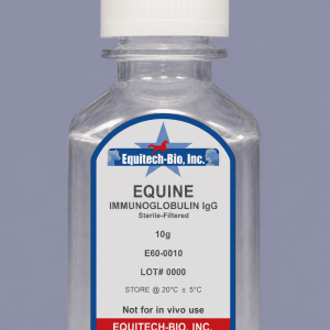 E60 main image